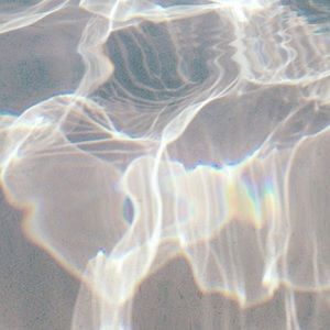 Meet your Posher, Lila